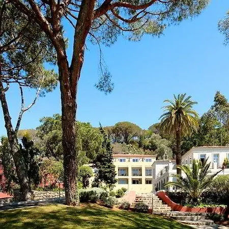 Le Chateau Des Artistes * Cannes